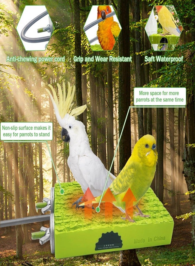 WEIYOONS 2-Pack Bird Heater for Cage Bird Warmer Snuggle-Up Perch Stand for Parrots, Small Pet Birds, Mini Macaw, Conure, African Grey, Hamsters, Chinchillas and Hedgehogs, 12V 5W - Image 3